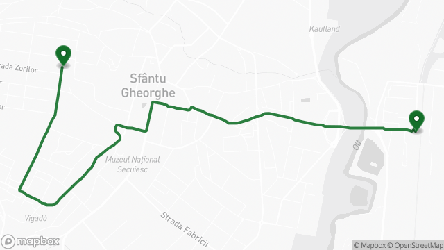 Az 1-es busz útvonala a térképen: Gara CFR → Cap Linie Simeria