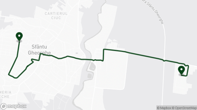 Route of line 1D on the map: Cap Linie Simeria → Câmpul Frumos