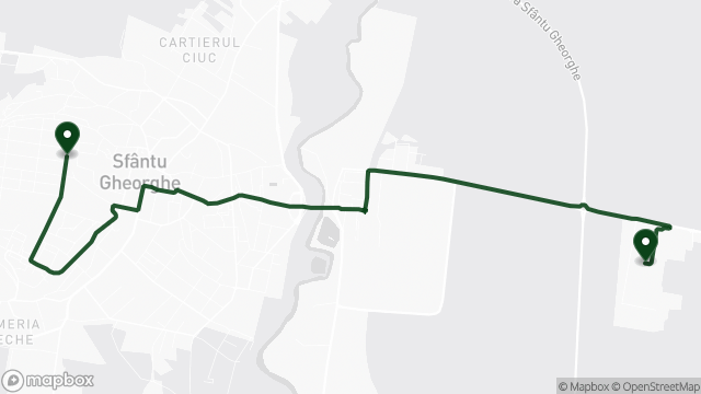 Route of line 1D on the map: Câmpul Frumos → Cap Linie Simeria