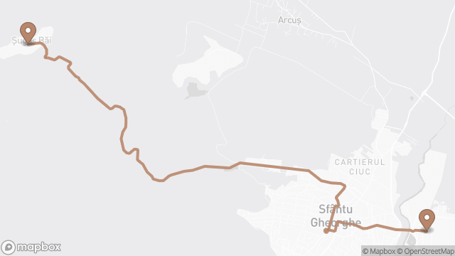 A 9-es busz útvonala a térképen: Șugaș Băi → Gara CFR