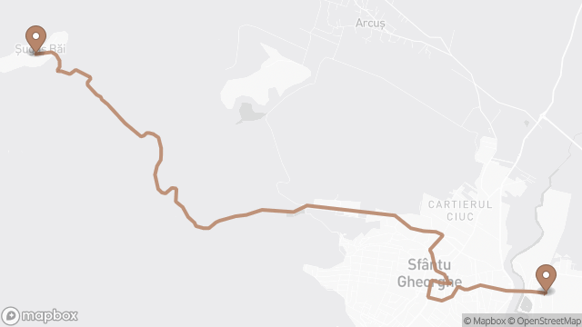 A 9-es busz útvonala a térképen: Gara CFR → Șugaș Băi